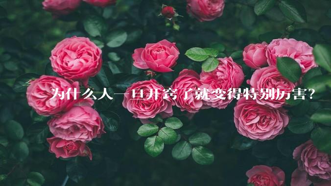 为什么人一旦开窍了就变得特别厉害？