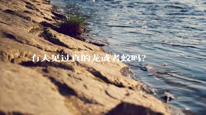 有人见过真的龙或者蛟吗？