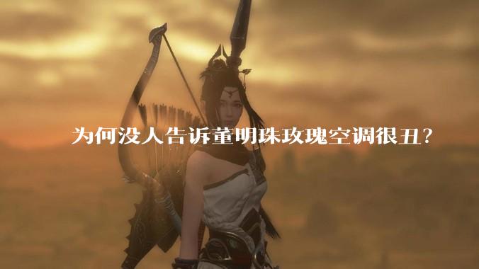 为何没人告诉董明珠玫瑰空调很丑？