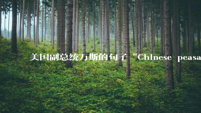 美国副总统万斯的句子“Chinese peasants ”从语法角度怎么理解？