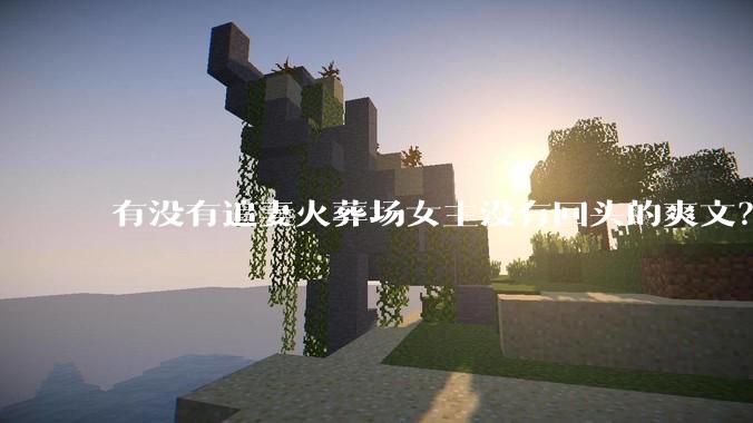有没有追妻火葬场女主没有回头的爽文？