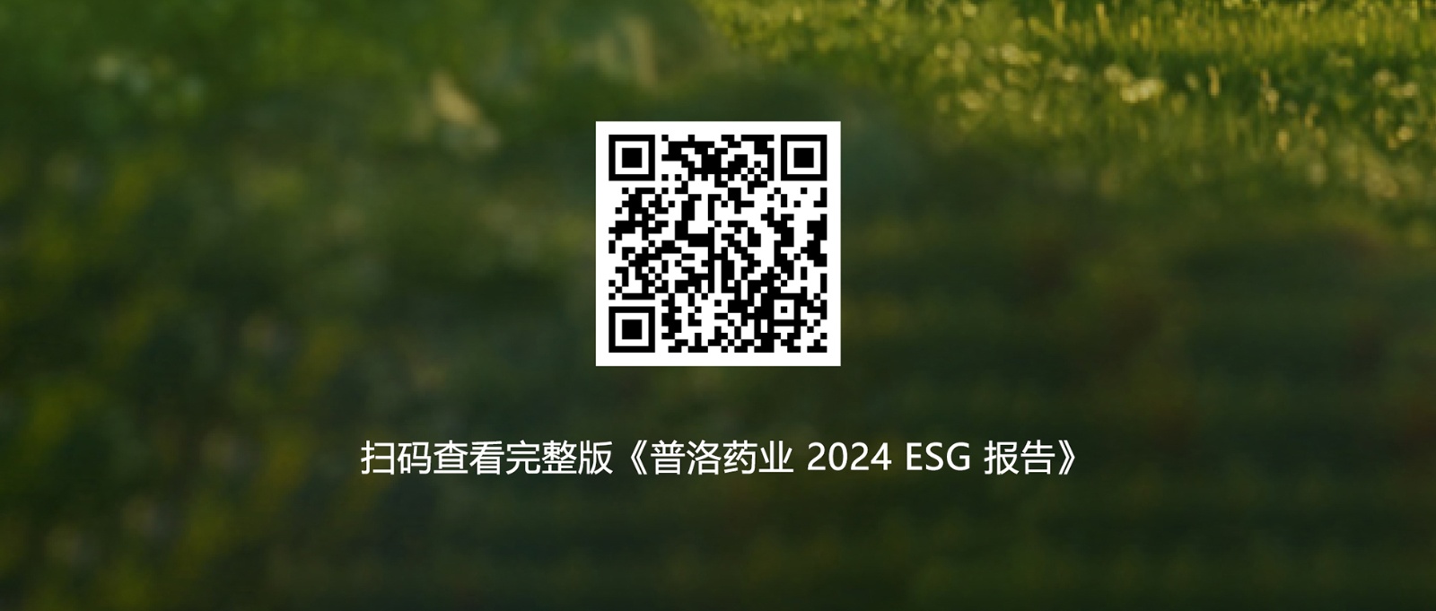 報(bào)告鏈接.jpg