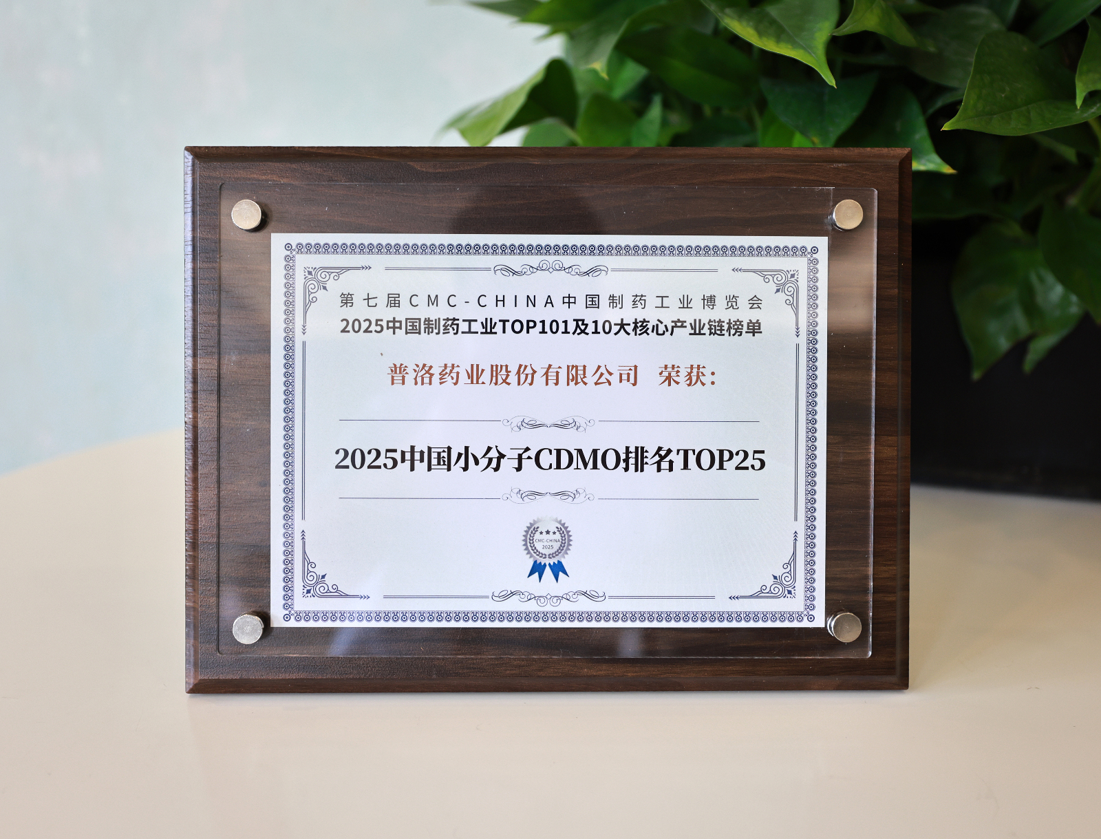 2025中國小分子CDMO排名TOP25.JPG