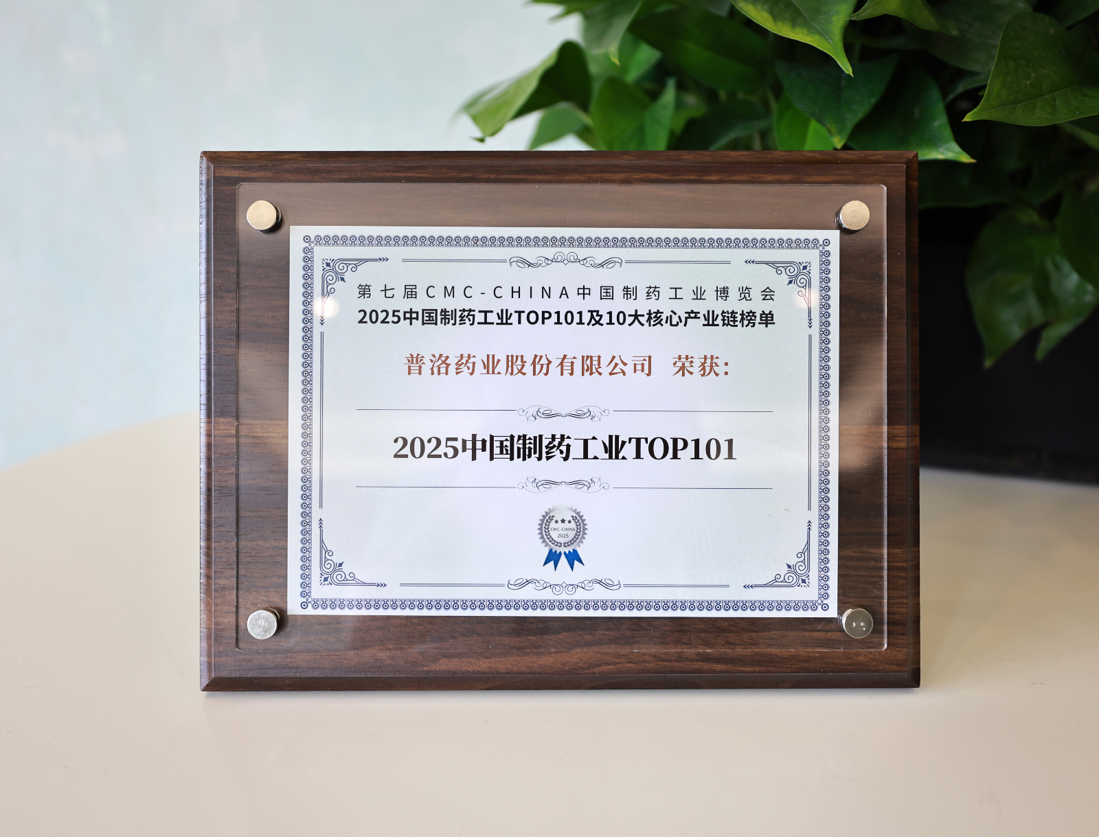 2025中國制藥工業TOP101.JPG